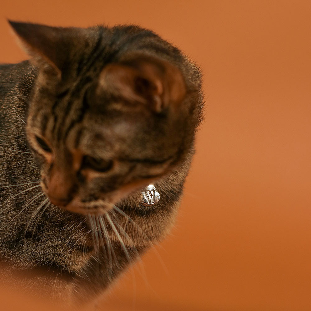 Zoe Pet Silver Locket