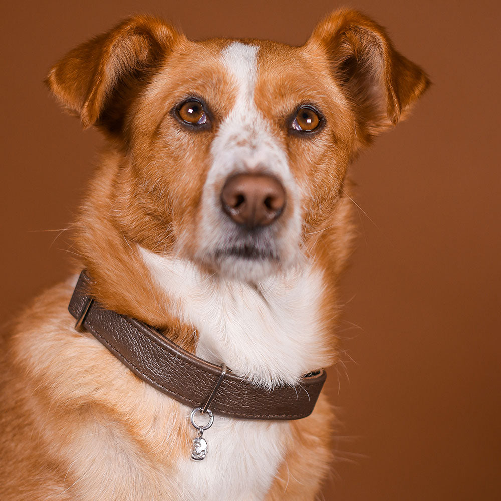 Zoe Dog Silver Locket