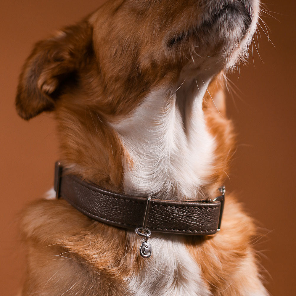 Zoe Dog Silver Locket
