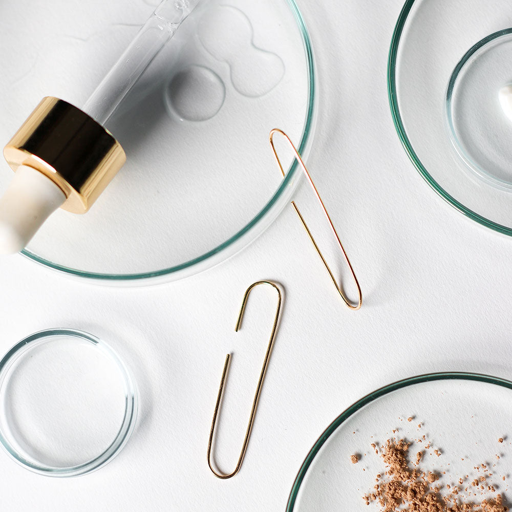 Sophie Gold Earrings