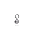 Zoe Pet Silver Locket