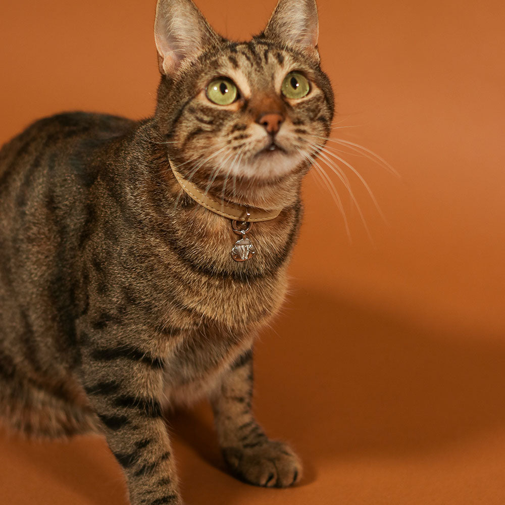 Zoe Cat Silver Locket