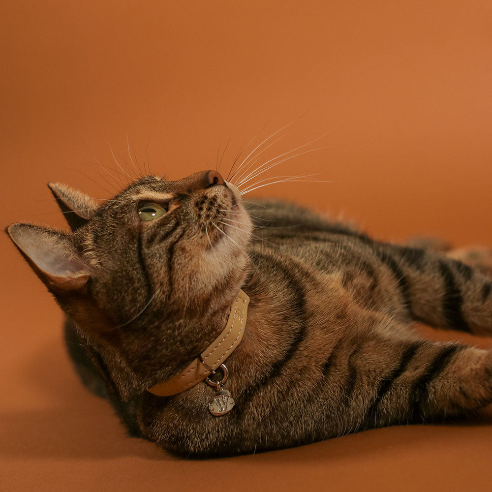 Zoe Pet Silver Locket